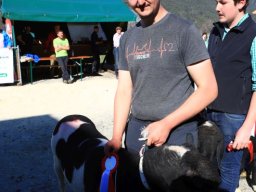 2019_ausstellung polling_652